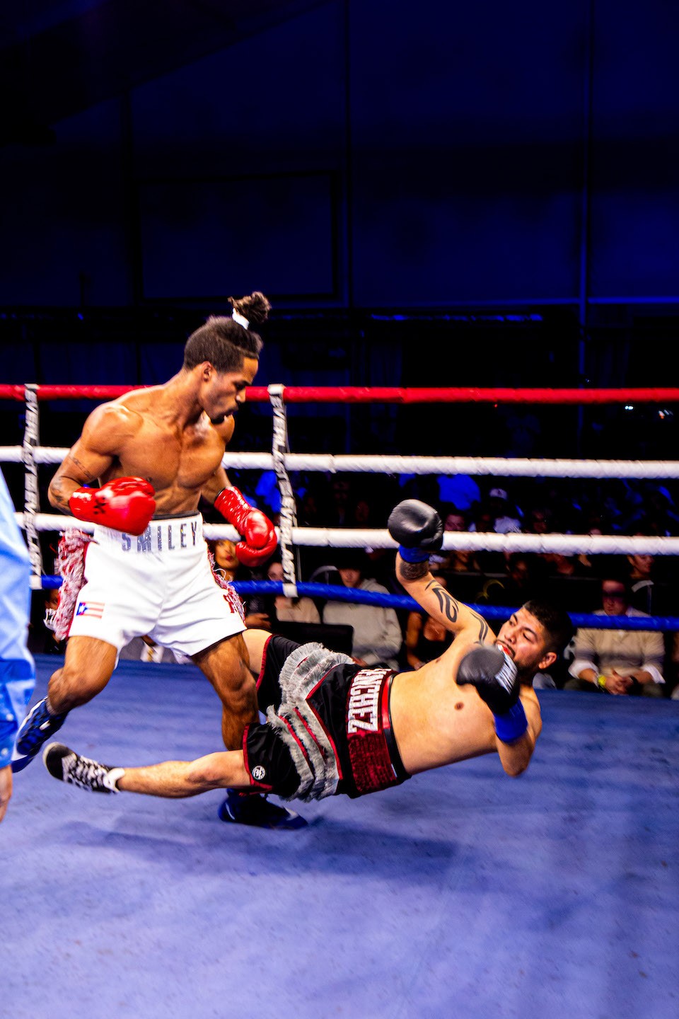 All Star Boxing